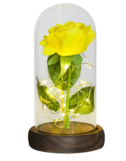 Load image into Gallery viewer, Gifts for Her Beauty and the Beast Eternal Rose in Glass Dome Artificial Forever Flower LED Light Mothers Day Gifts for Women
